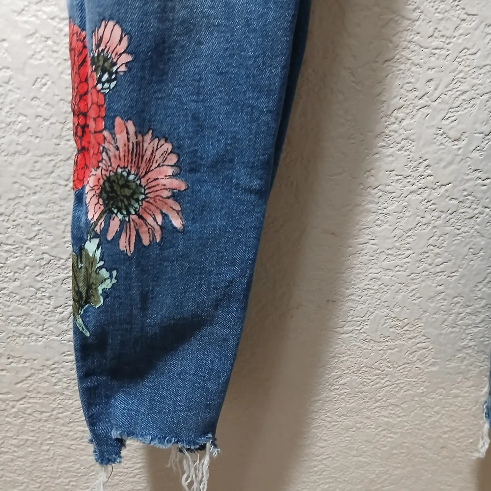 Zara Blue Skinny Jeans with Red Floral Embroidery - Picture 4 of 8